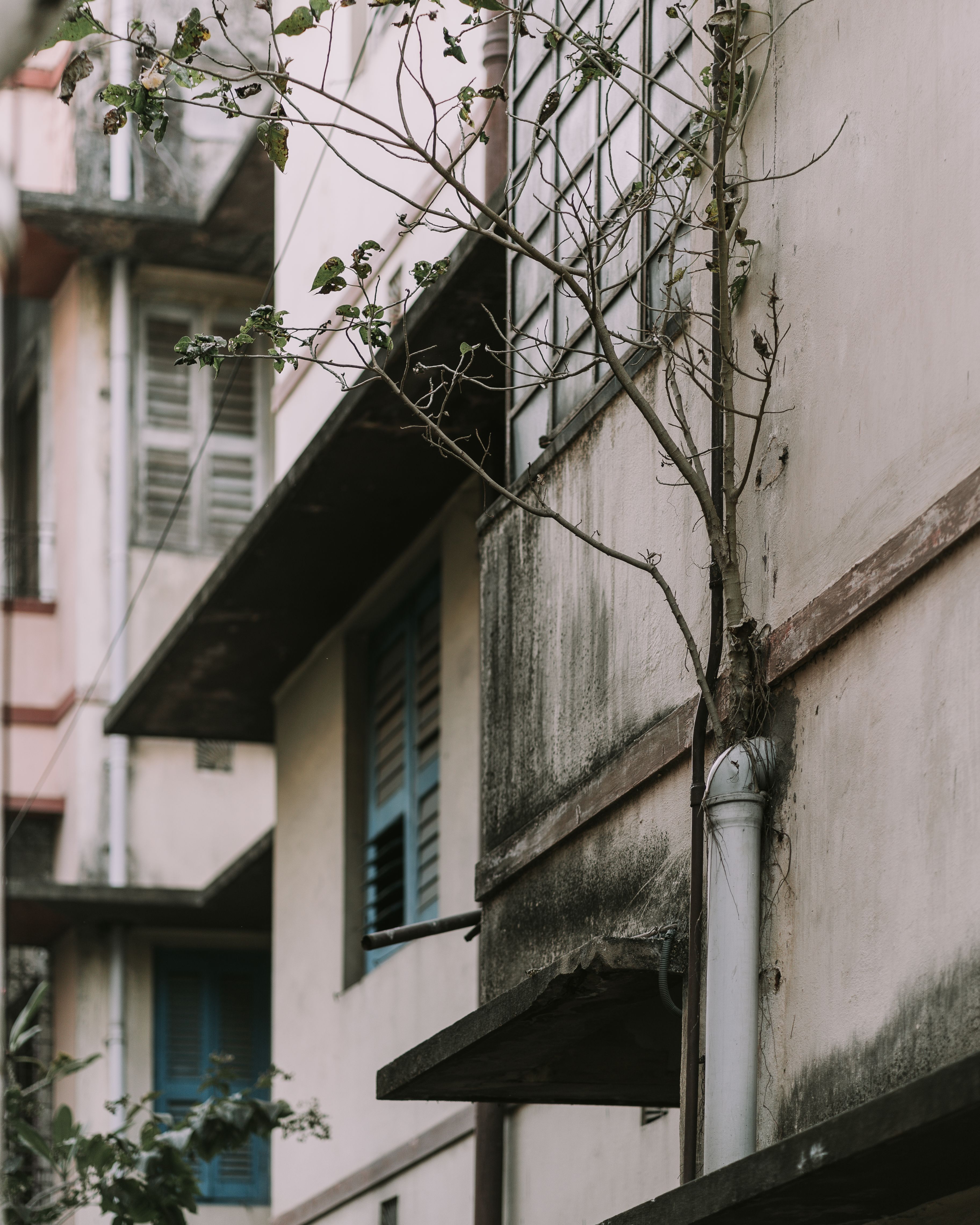 Why Buildings Leak